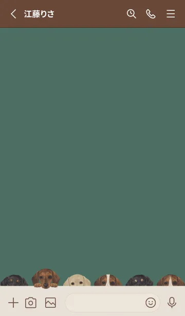 [LINE着せ替え] DOGS-ダックスフンド-フォレストグリーンの画像2