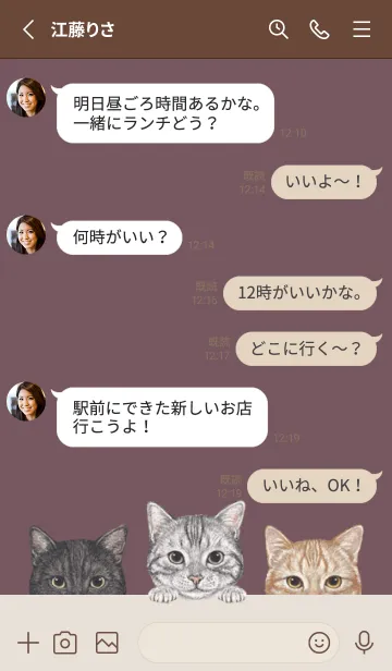 [LINE着せ替え] 猫 - アメショ - ダスティローズの画像3