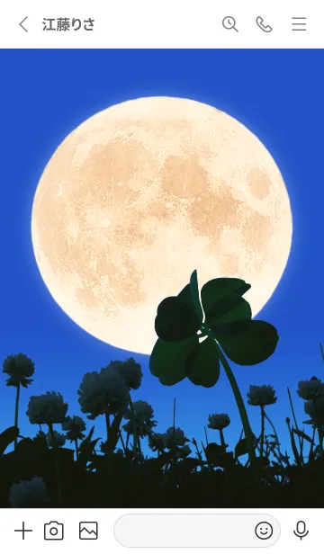 [LINE着せ替え] 七つ葉のクローバー & Full Moon #3-5の画像2
