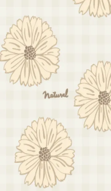 [LINE着せ替え] マーガレット 大人カラー22の画像1