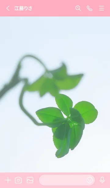 [LINE着せ替え] 七つ葉のクローバー 無限の幸福 #10-18の画像2