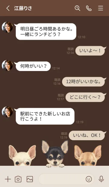 [LINE着せ替え] ワンワン！- チワワ - こげ茶色の画像3