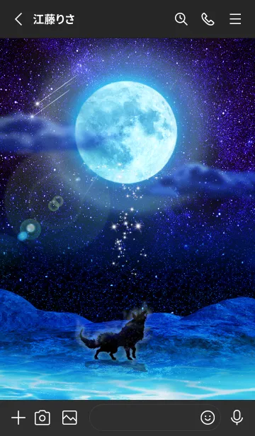 [LINE着せ替え] 運気上昇 満月とオオカミ3の画像2