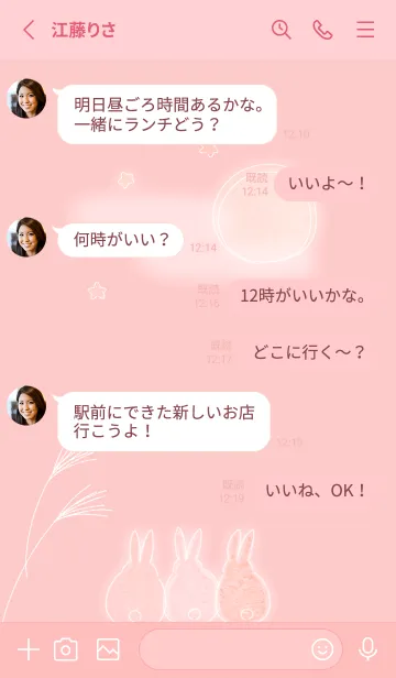 [LINE着せ替え] babypink♡月とうさぎ09_1の画像3