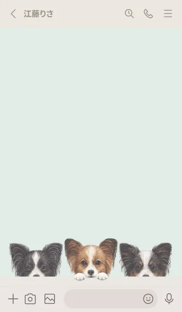 [LINE着せ替え] ワンワン - パピヨン - パステルグリーンの画像2
