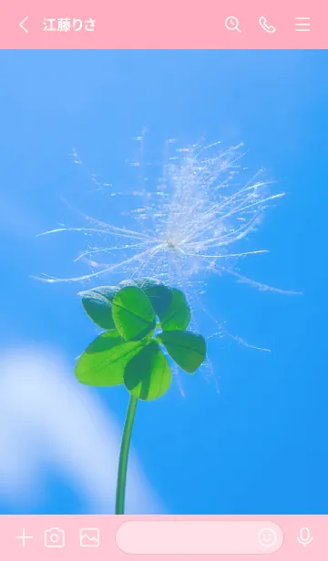 [LINE着せ替え] ケサランパサラン&七つ葉クローバー #4-17の画像2