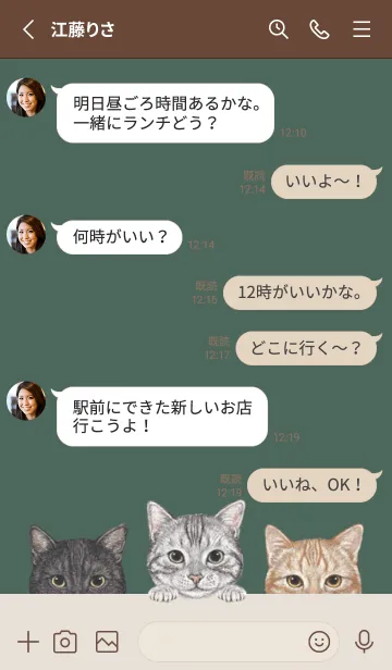 [LINE着せ替え] 猫 - アメショ - ダスティダークグリーンの画像3