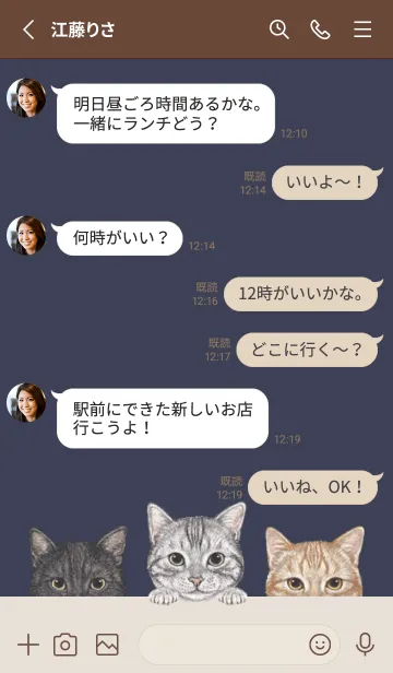 [LINE着せ替え] 猫 - アメショ - ダスティネイビーの画像3