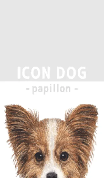 [LINE着せ替え] ICON DOG - パピヨン - GRAY/02の画像1