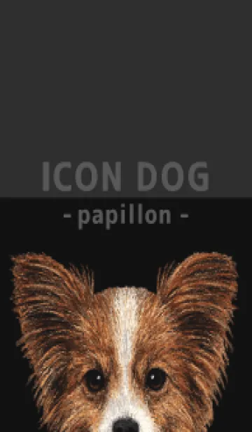 [LINE着せ替え] ICON DOG - パピヨン - BLACK/02の画像1