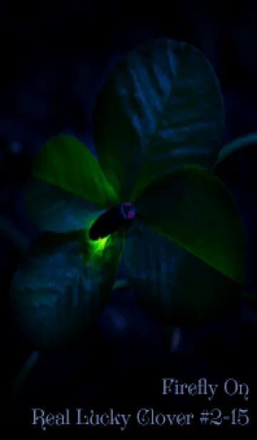 [LINE着せ替え] 蛍と四つ葉のクローバー #2-15の画像1