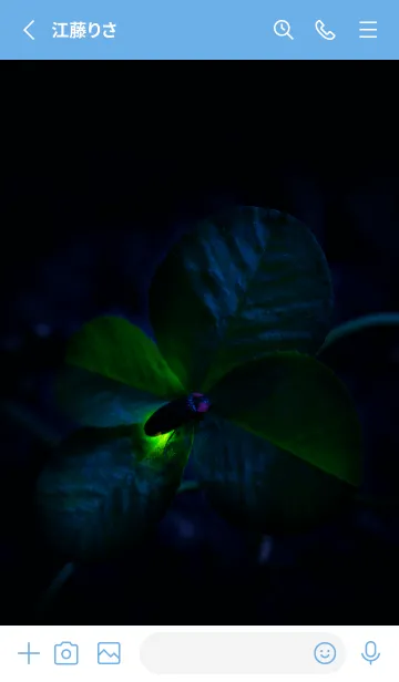 [LINE着せ替え] 蛍と四つ葉のクローバー #2-15の画像2