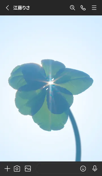 [LINE着せ替え] 七つ葉のクローバー 無限の幸福 #12-7の画像2