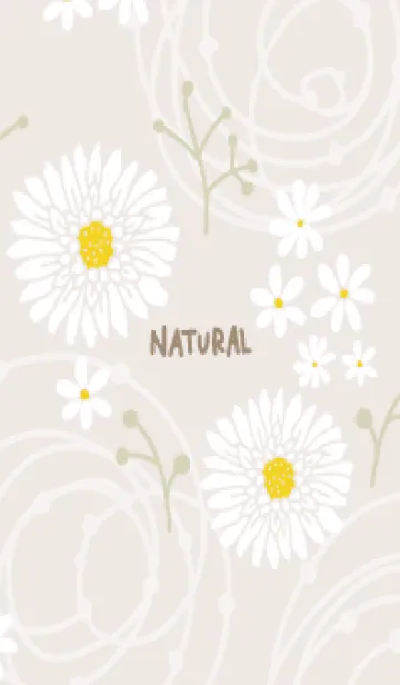 [LINE着せ替え] 白い花 くすみ23の画像1