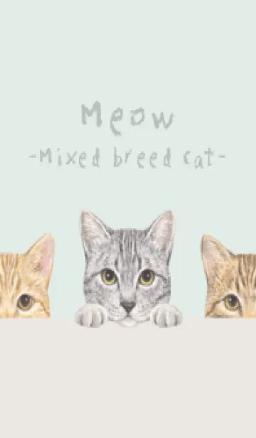 [LINE着せ替え] 猫 - ミックス 03 - パステルグリーンの画像1