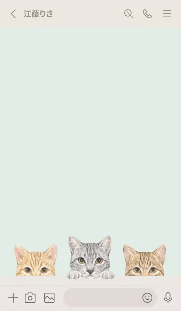 [LINE着せ替え] 猫 - ミックス 03 - パステルグリーンの画像2
