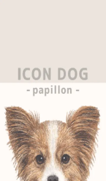 [LINE着せ替え] ICON DOG - パピヨン - BEIGE/02の画像1