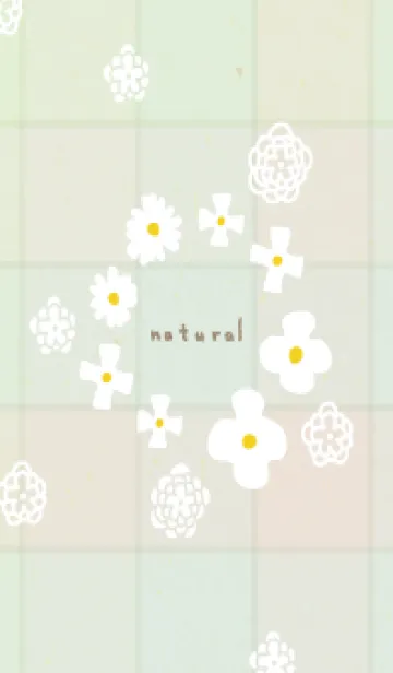 [LINE着せ替え] 白い花 チェック柄26の画像1