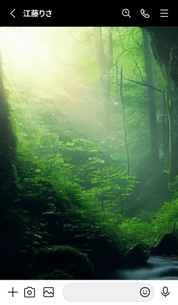 [LINE着せ替え] Beautiful Forest-MEKYM 15の画像2
