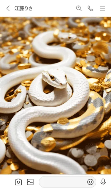 [LINE着せ替え] 金運上昇 黄金と白蛇 幸運の53の画像2