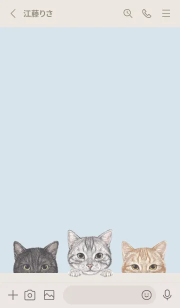 [LINE着せ替え] 猫 - アメショ - パステルブルーの画像2