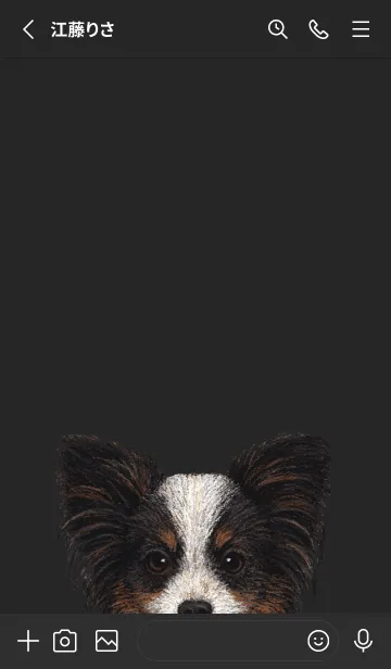 [LINE着せ替え] ICON DOG - パピヨン - BLACK/03の画像2