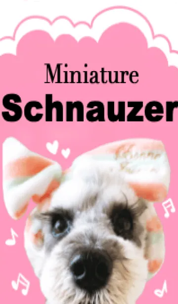 [LINE着せ替え] ミニチュア・シュナウザーの着せ替えの画像1