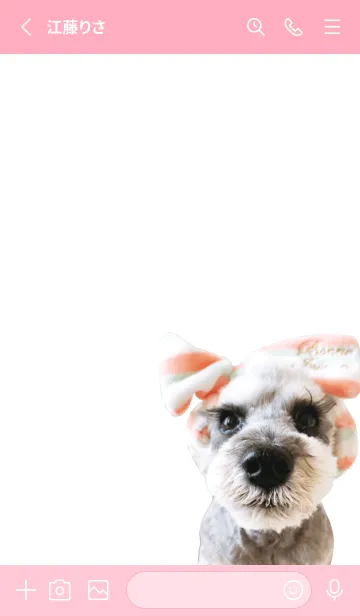 [LINE着せ替え] ミニチュア・シュナウザーの着せ替えの画像2