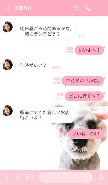 [LINE着せ替え] ミニチュア・シュナウザーの着せ替えの画像3