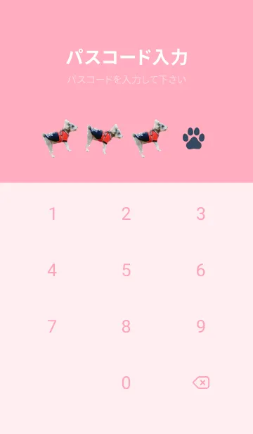 [LINE着せ替え] ミニチュア・シュナウザーの着せ替えの画像4