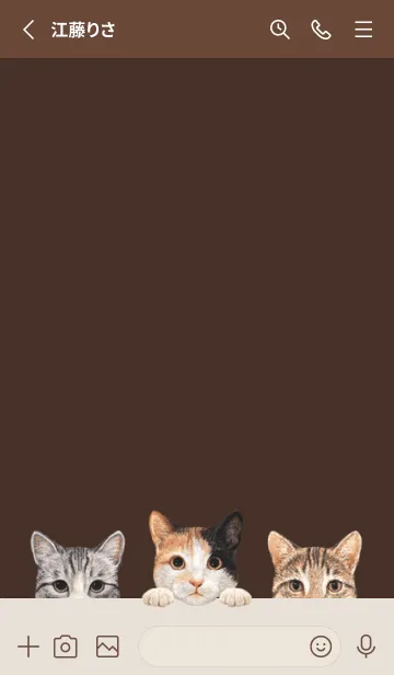 [LINE着せ替え] 猫 - ミックス 01 - こげ茶色の画像2