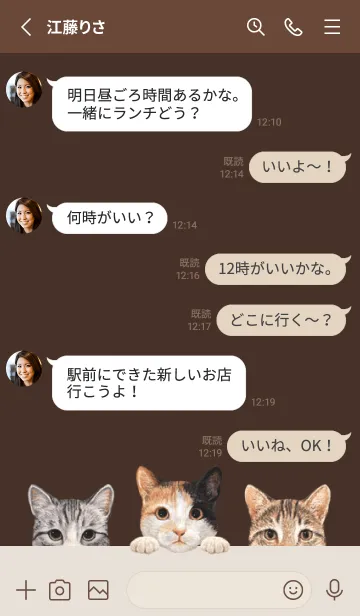 [LINE着せ替え] 猫 - ミックス 01 - こげ茶色の画像3