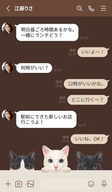 [LINE着せ替え] 猫 - ミックス 02 - こげ茶色の画像3