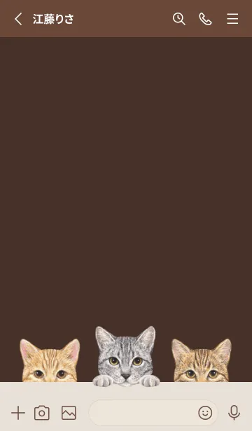 [LINE着せ替え] 猫 - ミックス 03 - こげ茶色の画像2