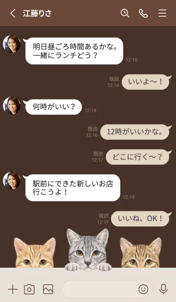 [LINE着せ替え] 猫 - ミックス 03 - こげ茶色の画像3