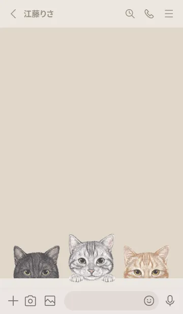 [LINE着せ替え] 猫 - アメショ - パステルブラウンの画像2