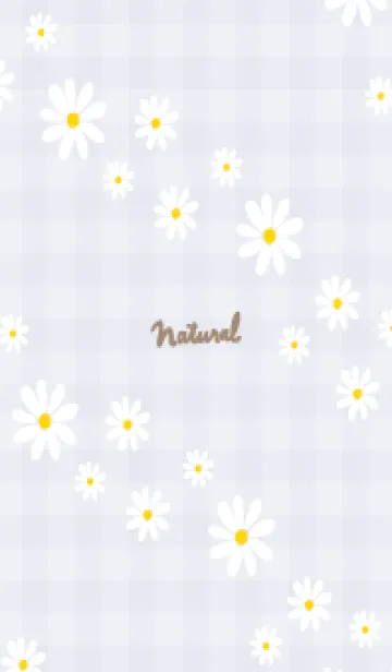 [LINE着せ替え] デイジー 斜め22の画像1