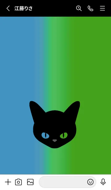[LINE着せ替え] ブラック キャット 210の画像2