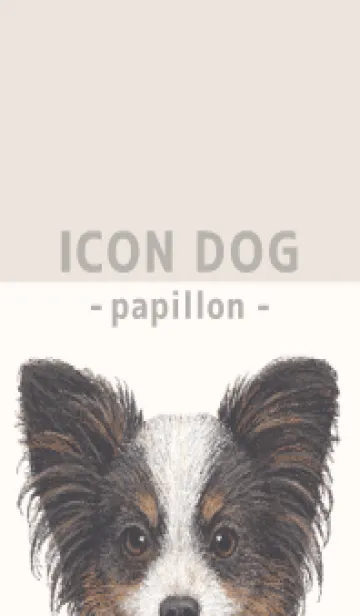 [LINE着せ替え] ICON DOG - パピヨン - BEIGE/03の画像1
