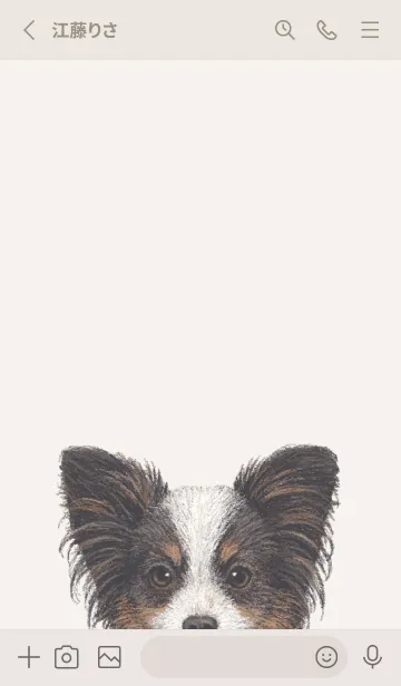 [LINE着せ替え] ICON DOG - パピヨン - BEIGE/03の画像2