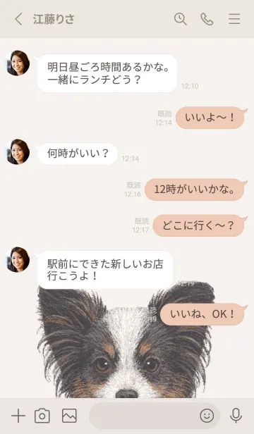 [LINE着せ替え] ICON DOG - パピヨン - BEIGE/03の画像3