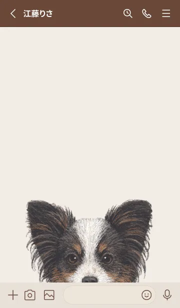[LINE着せ替え] ICON DOG - パピヨン - BROWN/03の画像2