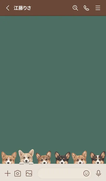 [LINE着せ替え] DOGS - コーギー01 - フォレストグリーンの画像2