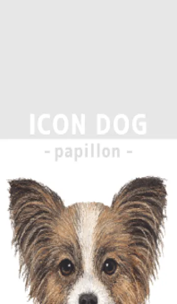 [LINE着せ替え] ICON DOG - パピヨン - GRAY/04の画像1