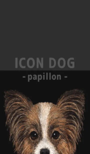 [LINE着せ替え] ICON DOG - パピヨン - BLACK/04の画像1