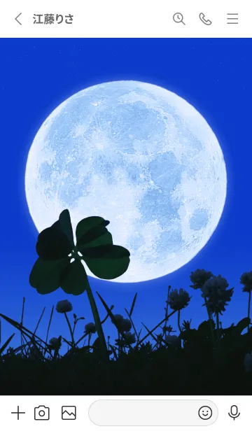 [LINE着せ替え] 七つ葉のクローバー & Full Moon #2-10の画像2