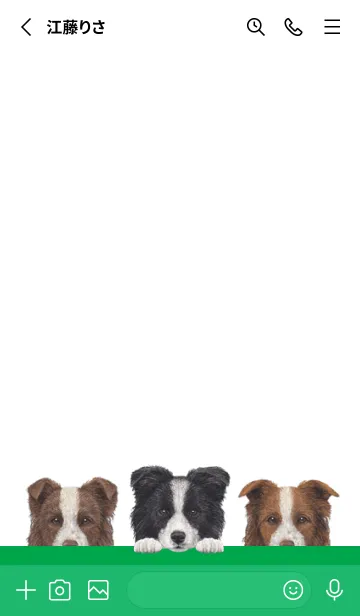 [LINE着せ替え] ワンワン！ - ボーダーコリー - 白×緑色の画像2