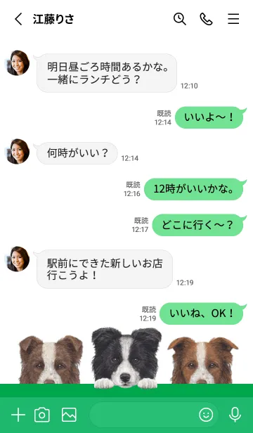 [LINE着せ替え] ワンワン！ - ボーダーコリー - 白×緑色の画像3