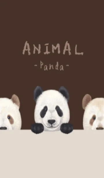 [LINE着せ替え] ANIMAL - パンダ - こげ茶色の画像1