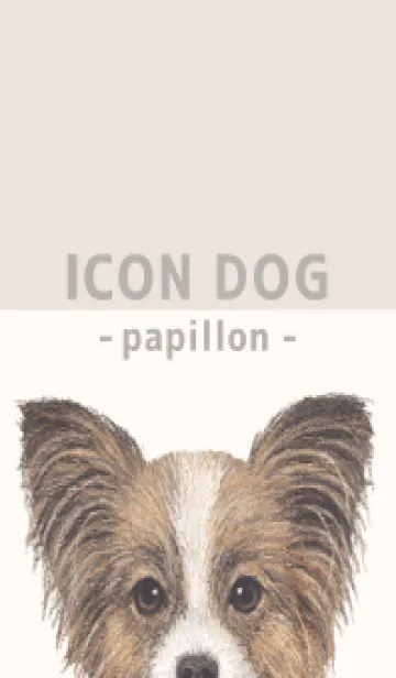 [LINE着せ替え] ICON DOG - パピヨン - BEIGE/04の画像1